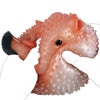 Fantasy Creature Blowfish Stroker Silicone Onahole Masturbator 1.45kg Male Masturbators -Masturbation Sleeves Buy Sex Toys in Singapore LoveisLove U4Ria