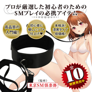 Japan NPG SM Introduction BEST 10 No. 3 Collar & Leash buy in Singapore LoveisLove U4ria