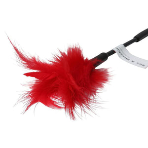 Sex & Mischief Feather Tickler Red Buy in Singapore LoveisLove U4Ria 