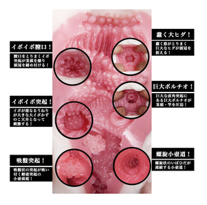 Japan NPG Meiki No. Syoumei 011 Shoko Takahashi Realistic Molded Vagina (Newly Replenished on May 19) Male Masturbators - Meiki Series NPG 
