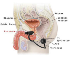 Master Series Prostatic Play Odyssey Vibrating Cock Ring & Anal Stimulator Prostate Massagers - Prostatic Play Prostatic Play 