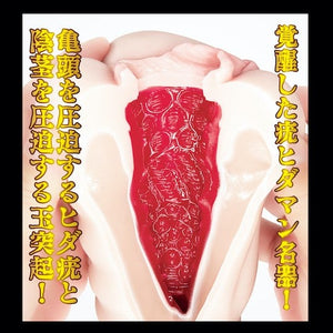 Japan NPG Meiki Awakening Onahole Kamiki Rei or Akari Mitani (New Series on May 2025) Male Masturbators - Japan AV Stars Buy Sex Toys in Singapore LoveisLove U4Ria