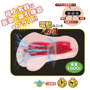 Japan NPG Meiki no Syoumei Vibration and Suction Masturbator File 12 Eimi Fukada or File 13 Lemon Tanaka Male Masturbators - Meiki Series Buy Sex Toys in Singapore LoveisLove U4Ria