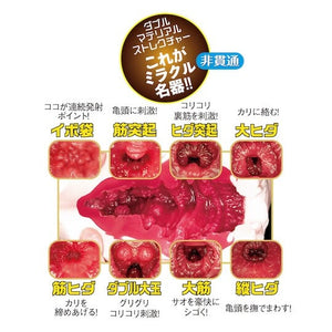 Japan NPG Meiki no Syoumei Vibration and Suction Masturbator File 12 Eimi Fukada or File 13 Lemon Tanaka Male Masturbators - Meiki Series Buy Sex Toys in Singapore LoveisLove U4Ria