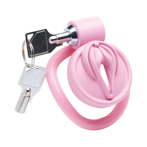 Master Series Pussification Vulva Locking Chastity Cage For Him - Chastity Devices Buy in Singapore LoveisLove U4Ria