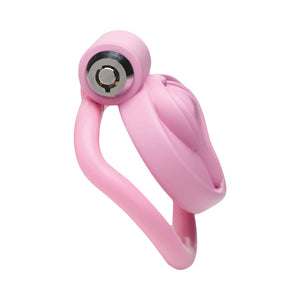 Master Series Pussification Vulva Locking Chastity Cage For Him - Chastity Devices Buy in Singapore LoveisLove U4Ria