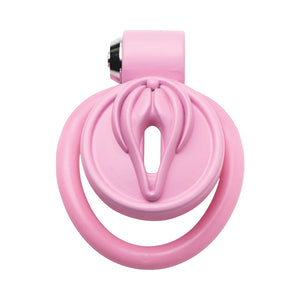 Master Series Pussification Vulva Locking Chastity Cage For Him - Chastity Devices Buy in Singapore LoveisLove U4Ria