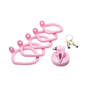 Master Series Pussification Vulva Locking Chastity Cage For Him - Chastity Devices Buy in Singapore LoveisLove U4Ria