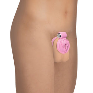 Master Series Pussification Vulva Locking Chastity Cage For Him - Chastity Devices Buy in Singapore LoveisLove U4Ria