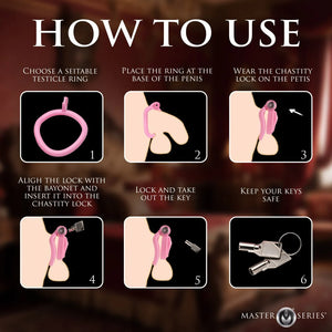 Master Series Pussification Vulva Locking Chastity Cage For Him - Chastity Devices Buy in Singapore LoveisLove U4Ria