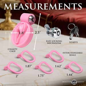 Master Series Pussification Vulva Locking Chastity Cage For Him - Chastity Devices Buy in Singapore LoveisLove U4Ria