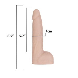 BMS Factory Naked Addiction Thrusting Dong Remote Controlled With Strong Suction Base Buy in Singapore LoveisLove U4Ria 