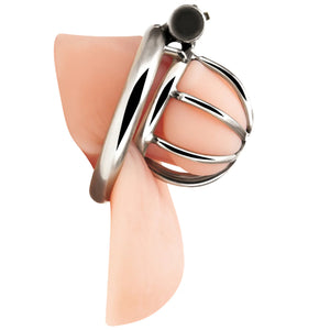 Blue Line Little Cock Chastity Cage Buy in Singapore LoveisLove U4Ria 