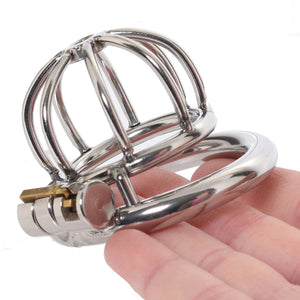 Blue Line Little Cock Chastity Cage Buy in Singapore LoveisLove U4Ria 