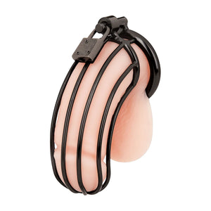 Blueline C&B Prisoner Cock Cage Metal Chastity Device For Him - Chastity Devices Buy Sex Toys in Singapore LoveisLove U4Ria