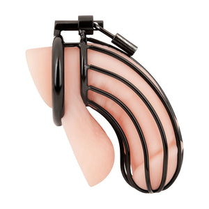 Blueline C&B Prisoner Cock Cage Metal Chastity Device For Him - Chastity Devices Buy Sex Toys in Singapore LoveisLove U4Ria