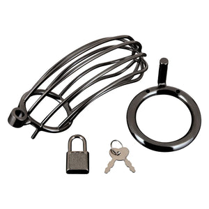 Blueline C&B Prisoner Cock Cage Metal Chastity Device For Him - Chastity Devices Buy Sex Toys in Singapore LoveisLove U4Ria