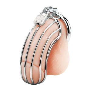 Blueline C&B Prisoner Cock Cage Metal Chastity Device For Him - Chastity Devices Buy Sex Toys in Singapore LoveisLove U4Ria