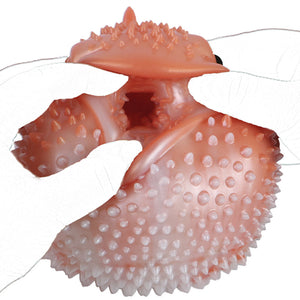 Fantasy Creature Blowfish Stroker Silicone Onahole Masturbator 1.45kg Male Masturbators -Masturbation Sleeves Buy Sex Toys in Singapore LoveisLove U4Ria