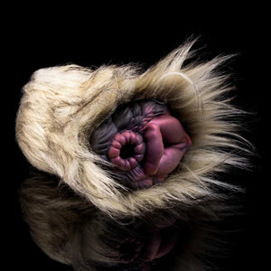 Fantasy Creature Stroker Silicone Furry Onahole Masturbator 573G Plush Brown Male Masturbators -Masturbation Sleeves Buy Sex Toys in Singapore LoveisLove U4Ria