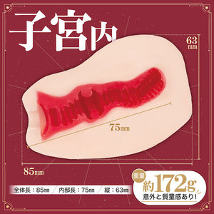 Japan Fuji World Ikuno's Uterus Onahole 172 G Male Masturbators - Handheld Strokers  Buy Sex Toys in Singapore LoveisLove U4Ria
