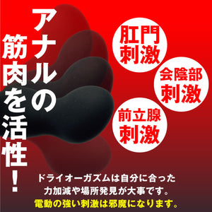 Japan Motlab ANALyze ENEMA Mini A Prostate Massager Buy in Singapore LoveisLove U4Ria 