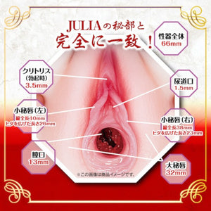 Japan NPG Julia Complete Replica Mature Pussy Onahole 580g Buy in Singapore LoveisLove U4Ria 