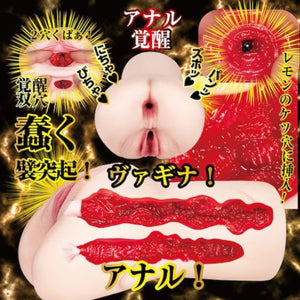 Japan NPG Meiki Awakening Onahole Lemon Tanaka or Rima Arai Buy in Singapore LoveisLove U4Ria 