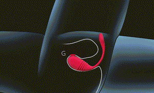 Lovense Vulse App-Controlled Thrusting & Vibrating Egg
