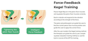 Magic Motion Rejuve FitCute App-Controlled Smart Kegel Trainer For Her - Kegel & Pelvic Exerciser Buy Sex Toys in Singapore LoveisLove U4Ria