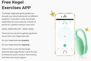 Magic Motion Rejuve FitCute App-Controlled Smart Kegel Trainer For Her - Kegel & Pelvic Exerciser Buy Sex Toys in Singapore LoveisLove U4Ria