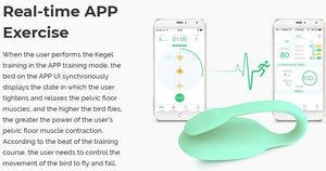 Magic Motion Rejuve FitCute App-Controlled Smart Kegel Trainer For Her - Kegel & Pelvic Exerciser Buy Sex Toys in Singapore LoveisLove U4Ria