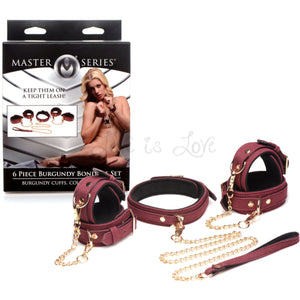 Master Series 6 Piece Burgundy Bondage Set Buy in Singapore LoveisLove U4Ria 