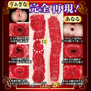 Japan NPG Mature Star Vagina Onahole 600 G Mary Tachibana or Yamagishi Aika Male Masturbators - Japan AV Stars Buy Sex Toys in Singapore LoveisLove U4Ria