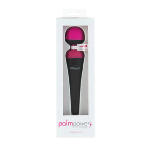 Palmpower Recharge USB Rechargeable Waterproof Massager (Newest Packaging Edition)