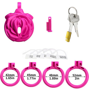 Pink Rose Pussy Chastity Cage 4-Piece Ring Kit #219 (42mm,45mm,48mm,52mm) Buy in Singapore LoveisLove U4Ria 