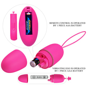 Pretty Love Selkie Remote Control Egg Massager Vibrator Vibrators - Bullet & Egg Buy Sex Toys in Singapore LoveisLove U4Ria