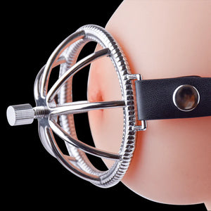 Psyche Goddess Steel Spiked Nipple Cages with Adjustable Straps Nipple Toys - Nipple Clamps Buy Sex Toys in Singapore LoveisLove U4Ria