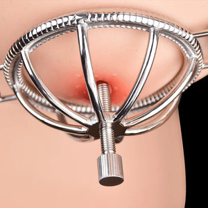 Psyche Goddess Steel Spiked Nipple Cages with Adjustable Straps Nipple Toys - Nipple Clamps Buy Sex Toys in Singapore LoveisLove U4Ria