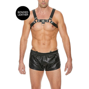 Shots Ouch! Bulldog Bonded Leather Chest Harness L/XL Buy in Singapore LoveisLove U4Ria 