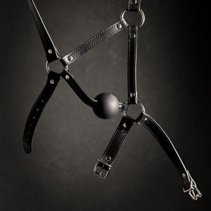 Shots Ouch! Xtreme Head Harness with Solid Ball Gag Black Buy in Singapore LoveisLove U4Ria 