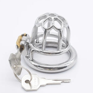 Stainless Steel Plum Blossom Chastity Cock Cage #18 with 45 mm Ring Buy in Singapore LoveisLove U4Ria 