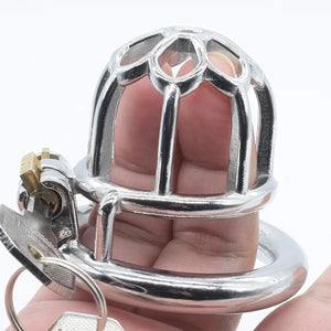 Stainless Steel Plum Blossom Chastity Cock Cage #18 with 45 mm Ring Buy in Singapore LoveisLove U4Ria 