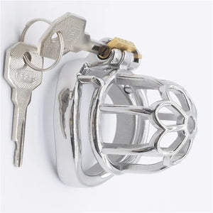 Stainless Steel Plum Blossom Chastity Cock Cage #18 with 45 mm Ring Buy in Singapore LoveisLove U4Ria 