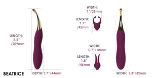 Svakom Beatrice Powerful Vibrator & Clitoral Tip Stimulator Violet With Three Attachments