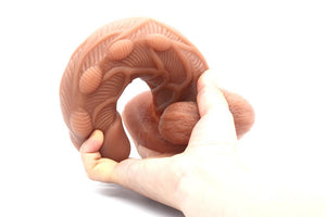 Textured Dual Layer Silicone Dildo with Suction Cup 7.3 Inch Dildos - Large & Unique Dildos Buy Sex Toys in Singapore LoveisLove U4Ria