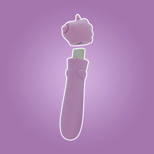 Unihorn Massaging Clitoral USB Bullet Vibrator Heart Throb or Karma Lilac Vibrators - Bullet Vibrator Buy Sex Toys in Singapore LoveisLove U4Ria