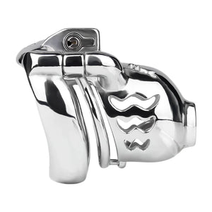 Stainless Steel Weighted Prince Albert Chastity Cage with Belt #262C For Him - Chastity Devices Buy Sex Toys in Singapore LoveisLove U4Ria
