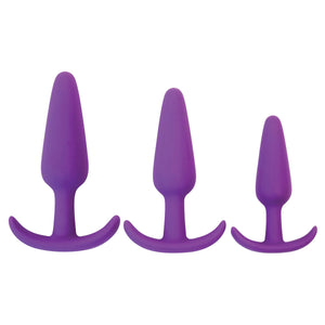 Curve Toys Gossip Rump Rockers Anal Plug Set of 3 Pink or Purple Anal - Anal Trainer Kits Buy Sex Toys in Singapore LoveisLove U4Ria