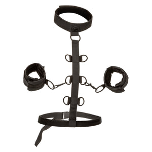 CalExotics Boundless Collar Body Restraint Buy in Singapore LoveisLove U4Ria